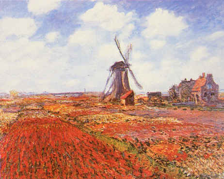 Tulip Fields with Windmill